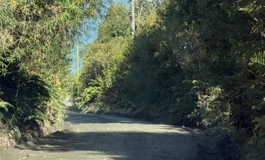 Parcela en venta  en PUERTO VARAS