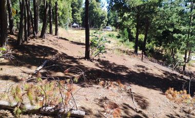 Parcela en venta  en PAREDONES