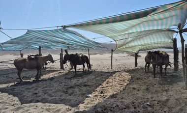 Parcela en venta  en PAREDONES