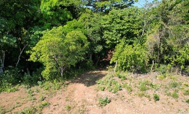 Se vende finca en El Copecito, San Carlos