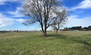 Venta/Terreno Comercial 500m2 - Don Igancio Funes