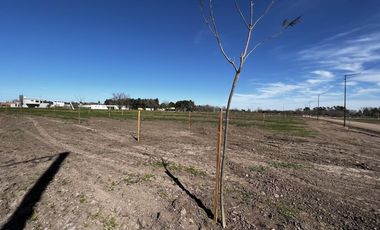 Venta/Terreno Comercial 500m2 - Don Igancio Funes