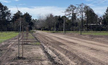 Venta/Terreno Comercial 500m2 - Don Igancio Funes