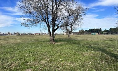 Venta/Terreno Comercial 500m2 - Don Igancio Funes
