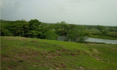 FINCA A LA VENTA EN HIGUERA DE CHEPO