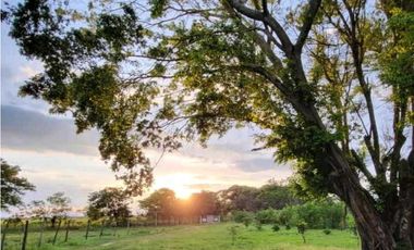 VENTA DE FINCA TRABAJADA EN ANTON PARA INVERSIÓN O VIVIR