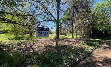 Quinta en Matheu