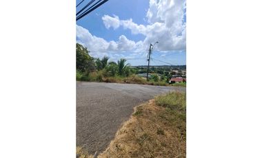 VENTA DE TERRENO ORILLA DE CALLE, LA CHORRERA