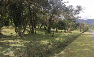 Lote en venta en El Valle