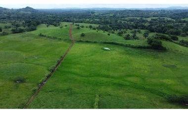 VENTA FINCA AGROPECUARIA SANTIAGO VERAGUAS