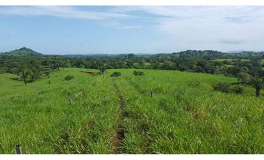 VENTA FINCA AGROPECUARIA SANTIAGO VERAGUAS