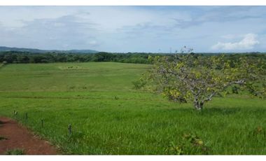 VENTA FINCA AGROPECUARIA SANTIAGO VERAGUAS