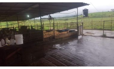 VENTA FINCA AGROPECUARIA SANTIAGO VERAGUAS