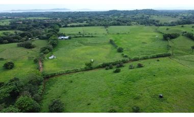 VENTA FINCA AGROPECUARIA SANTIAGO VERAGUAS