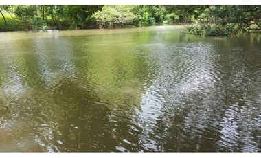 VENTA FINCA AGROPECUARIA SANTIAGO VERAGUAS