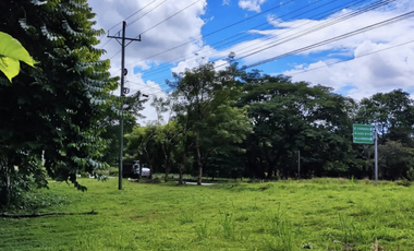 Se vende finca de 5 Hectáreas con 500mt2 Interamericana La Chorrera