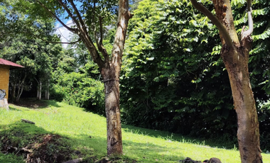 Se vende finca de 5 Hectáreas con 500mt2 Interamericana La Chorrera