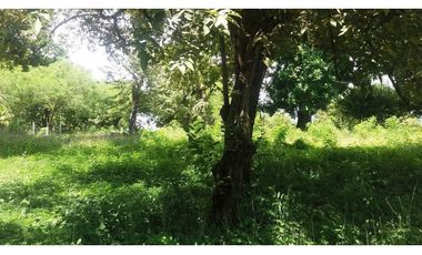 Venta: Terreno Hacienda Las Lagartijas, San Jose