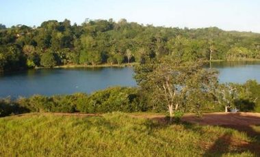 Venta: Finca de 100 Hectáreas frente al Lago Gatún
