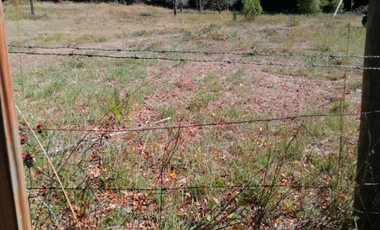 PARCELA DE AGRADO EL TUME, VILLARRICA.