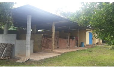VENDO FINCA DE 18 HECTAREAS EN CERRO CAMA - PANAMA OESTE!!!
