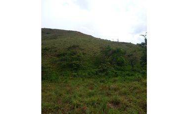 Venta de Terreno en Penonomè - La Pintada