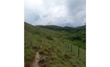 Venta de Terreno en Penonomè - La Pintada