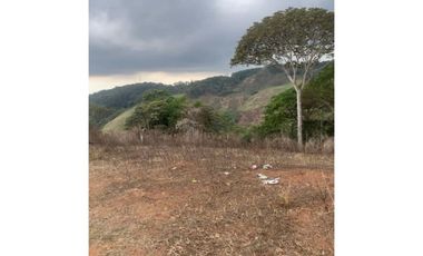 VENDO TERRENO DE 217 HECTAREA Cero azul