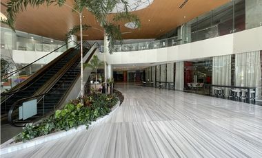 FINANCIAL PARK / COSTA DEL ESTE / 129MTS