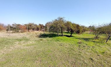 PARCELA URBANIZADA 3.5HA EN MARÍA PINTO