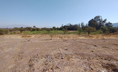 PARCELA URBANIZADA 3.5HA EN MARÍA PINTO