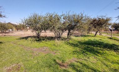 PARCELA URBANIZADA 3.5HA EN MARÍA PINTO