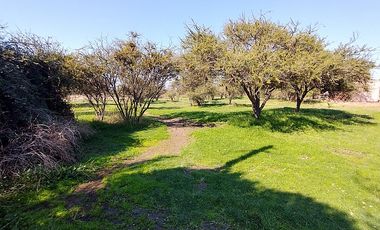 PARCELA URBANIZADA 3.5HA EN MARÍA PINTO