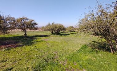 PARCELA URBANIZADA 3.5HA EN MARÍA PINTO