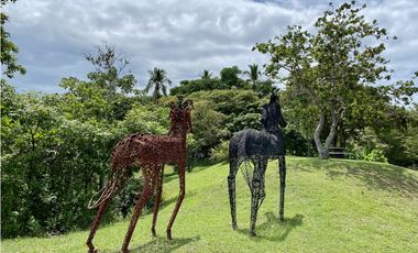 Se Vende Finca con Cabañas en San Carlos