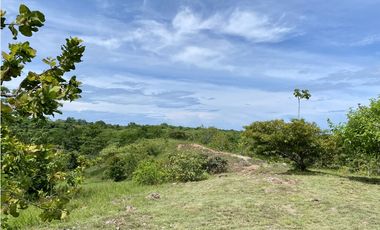 Se Vende Finca con Cabañas en San Carlos