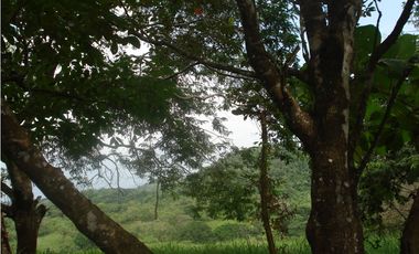 Venta de finca en Capira GTA