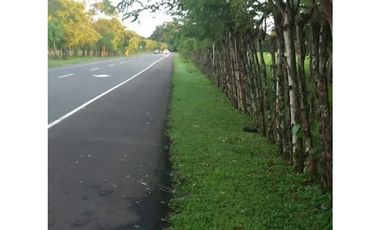 VENTA DE FINCA EN DAVID, CHIRIQUI, DOLEGA