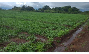 VENTA DE TERRENO DIVISA,CHITRE