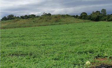 VENTA DE TERRENO DIVISA,CHITRE