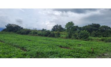 VENTA DE TERRENO DIVISA,CHITRE