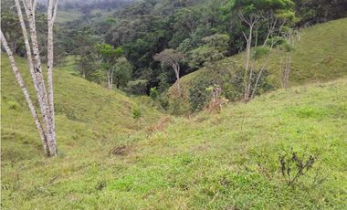 VENTA FINCA LLANO GRANDE