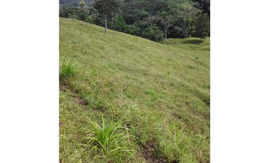 VENTA FINCA LLANO GRANDE