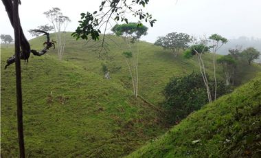 VENTA FINCA LLANO GRANDE