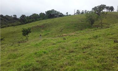 VENTA FINCA LLANO GRANDE