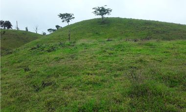 VENTA FINCA LLANO GRANDE