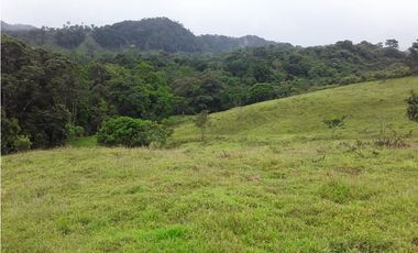 VENTA FINCA LLANO GRANDE