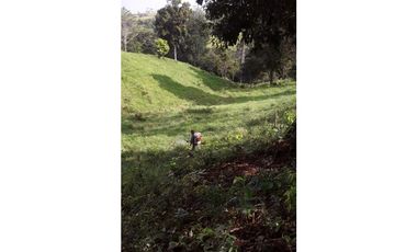 VENTA FINCA LLANO GRANDE
