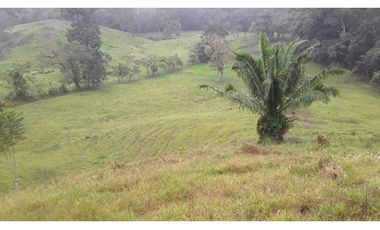 VENTA FINCA LLANO GRANDE