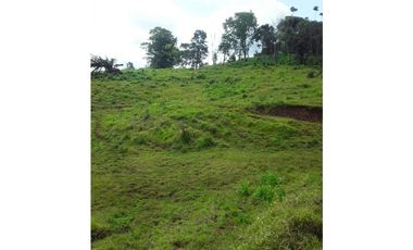 VENTA FINCA LLANO GRANDE